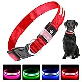 PcEoTllar Leuchthalsband Hund USB Aufladbar - LED Halsband für Hunde Hundehalsband Wasserdicht Leuchtend Einstellbare Größe, 3 Modi, Leuchthalsband für Nachtsicherheit Kleine und mittlere Große Hunde