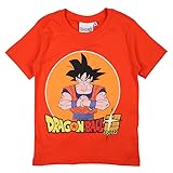 Disney Unisex Kids Children Boy and Girls Dragon Ball T-Shirt, ORANGE, 7 Jahre