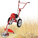Tragbarer Benzin-Rasenmäher und elektrischer Unkrautfresser für Garten, Rasen, Hofwartung