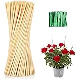 100 Stück Gartenpfähle, Holz-Pflanzstäbe mit Gartenbändern, stabile Bambusstäbe für Pflanzen, Orchideenstäbchen, Tomatenpfähle, Blumenpflanzenstütze