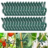 DIELIANHUA 50 Stück Pflanzenclips, Pflanzenclips für Kletterpflanzen, Pflanzenklammern, Klammern für Pflanzen, Gartenpflanze Clips Wiederverwendbar, Pflanzen Klammern für Tomaten Gemüse(45 X 30 MM)