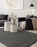 the carpet Foxy Shaggy Teppich - Hochflor Teppich Wohnzimmer & Schlafzimmer - Waschbar & rutschfest - Anthrazit 80 x 150 cm