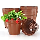 LWMLWM Anzuchttöpfe, Ø 12cm 10 Stück Premium Anzucht Topf – Pflanztöpfe rund zur Pflanzen Anzucht - Blumentöpfe für Sämlinge für Obst, Gemüse, Pflanzen, Sukkulenten, Setzlinge, Stecklinge, Umpflanzen