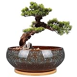 EPFamily Bonsai-Pflanztopf aus Keramik, glasiert, flach, Sukkulenten-Übertopf mit Ablaufloch und Untersetzer aus Bambus für Zimmerpflanzen, 20,3 cm, Braun