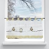 Yujiao Mao Eule bestickte Scheibengardine aus Voile mit Schlaufen Küche Gardinen Kurzstores Transparent H45xB120cm 1 Stück