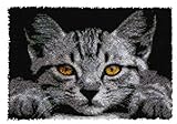 ROCKY&CHAO Knüpfhaken-Teppich-Set DIY-Knüpfhaken Teppichherstellungs für Erwachsene Kinder Kreuzstich-Set Teppichherstellung Heimdekoration 50 x 38 cm （Schwarze Katze）