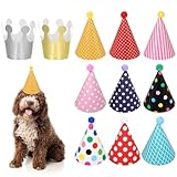 LIQWEI 11 Stück Partyhüte Geburtstag Set, Bunte Kindergeburtstag Party Kegel Hüte mit Pompoms Partyhut Geburtstag Krone Party-Dekorationen für Familienfeiern Kinder Erwachsene Haustiere
