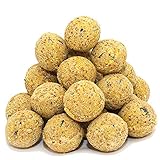 100 x 90 g =9 kg Meisenknödel mit Insekten ohne Netz Vogelfutter 4 Jahreszeitenknödel Wildvogelfutter Ganzjahresfutter Fettfutter