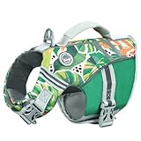 VIVAGLORY Sportstil Schwimmweste für Hunde mit Hervorragendem Auftrieb, Einstellbar & Langlebig Schwimmweste mit Sicherem Befestigungssystem für Kleine Hunde, Grün