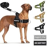 Eyein Hundegeschirr mit Leine für große mittelgroße Hunde, Weich gepolsterter Brustgeschirr mit 2 Leinenclips, Reflektierend & Leichtgewicht Anti Zug Geschirr für Spaziergänge Training, Schwarz, L