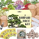 Premium Bonsai Baum Kit - 10 Arten Bonsai Baum Anzuchtset für Starter, Bonsai Kit mit Erde, Töpfen, Schere, Pflanzenhersteller, Grow Bonsai Indoor, Bonsai Anfänger Kit Pflanze Geschenke für