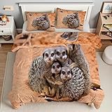 YZQGLHP Bettdecke 220x240 Waschbär Wende Steppdecke Tier Bettdecke ohne Bezug, Weiche Microfaser, 4 Jahreszeiten Bettdecken mit 2 Kissenbezug 80x80cm