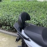 XYHZMZ Motorrad Für SYM Joymaxf300 Joymaxf 300 Schwarz Abnehmbare Rückenlehne Beifahrergepäckträger