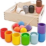 Ulanik Bälle in Tassen Kleinkinder Montessori Spielzeug ab 1 Jahr + Baby Sensorik Bälle Holzspiele zum Zählen und Sortieren Farben Lernen — 12 Holzkugeln Bunt
