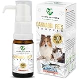 GLOBAL NATUREON® Cannabiu Pets Öl 500 mg (30 ml) auf Lachsölbasis, Beruhigungsmittel für Hunde und Katzen, Tropfen gegen Angst, Stress & für Reise, Naturprodukt für Tiere, ohne Konservierungsstoffe