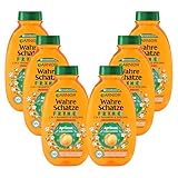 Garnier Shampoo für Kinder, Mildes 2-in1 Pflegeshampoo für empfindliches Haar und leichte Kämmbarkeit, Mit Aprikose und Baumwollblüte, Wahre Schätze Kids, 6 x 250 ml