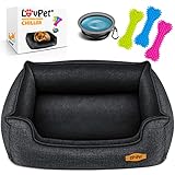 Lovpet® Hundebett Hundekissen Hundekorb Chiller, Inkl. Napf + 3X Kauknochen, Hundesofa Kissen für Kleine, Mittelgroße & Große Hunde, Bezug abnehmbar und waschbar, M 70 x 55 x 21 cm Anthrazit