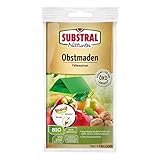 Substral Naturen Obstmaden-Falle gegen Apfelwickler an Äpfeln, Birnen und Walnüssen (Obstmade), 1 Set, Grau