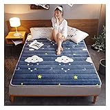 120*200cm/47*79 inch,WTTWW Tatami Matratze Matratze Faltbar, Doppel-Einzel Camping Matratzen Verdicken sie Stereoscopic für gäste,Camping, Zimmer in einem studentenwohnheim und kinder spielzimmer