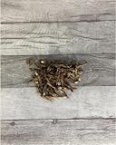 Anchovies getrocknet 500 g - Trockenfisch Hund Katze - Sardellen kleine Fische Kauartikel Leckerlie Kausnack