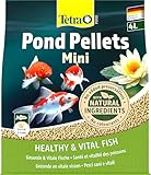 Tetra Pond Pellets Mini - Fischfutter für kleine und junge Teichfische, unterstützt gesunde Fische und klares Wasser im Teich, 4 L Beutel