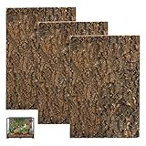 GBKDQQ 3 Stück Korkrinde Rückwand für Terrarium, Natürliche Korkrinde Dekoration, 20 * 30cm Reptilien-Klettermatte, Baumrindenoptik für Reptilien Gecko, Bartagame und Schildkröten