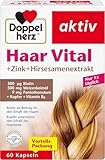 Doppelherz Haar Vital + Zink + Hirsesamenextrakt - mit Biotin als Beitrag für den Erhalt normaler Haare - Kupfer unterstützt den Erhalt der normalen Haarfarbe - 60 Kapseln
