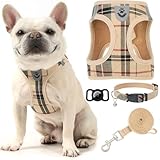 EXPAWLORER Hundegeschirr und Leine, Set mit AirTag-Halter, weich gepolstert, mittelgroß, kein Ziehen, reflektierendes Welpengeschirr, Halsband und Leine zum Spazierengehen, Khaki, Größe S