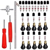 RUNCCI-YUN 44pcs Tyre Valve Core Tool Set Valve Remover+ Tyre Valve Core+Valve caps+Rubber Valves TR412+Valve Tools, for Car Bicycle Motorcycle Tyre Repair