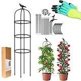 LIBRNTY Rankhilfe Obelisk,Rankobelisk,Turm Obelisk Garten Rankgitter,Rustproof Plastic Coated Metal Plant Support,Top-Vogeldesign,Passend fürReben,Blume, Rosen,Turm Obelisk Spalier…