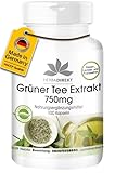 Grüner Tee Extrakt 750mg Kapseln - 100 Kapseln - hochdosiert - vegan - mit 50% EGCG | HERBADIREKT by Warnke Vitalstoffe - Deutsche Apothekenqualität