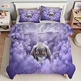 YZQGLHP Bettdecke 220x240 Weimaraner Wende Steppdecke Lavendel Bettdecke ohne Bezug, Weiche Microfaser, 4 Jahreszeiten Bettdecken mit 2 Kissenbezug 80x80cm