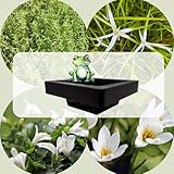 WASSERPFLANZEN WOLFF - FROG-ISLAND weiß - SCHWIMMINSEL inklusive Pflanzen - REIHERSCHUTZ - 4er-Mix mit Pflanzinsel - QUALITÄTSSTAUDEN im Pflanzkorb - Frosch-Insel für Gartenteich