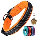 PcEoTllar Hundehalsband Verstellbare Weich Gepolstertes Neopren Nylon Hunde Halsband Reflektierend Halsband Atmungsaktives Einstellbar mit Erkennungsmarke for kleine mittel große Hunde - Orange - M