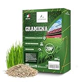 LERAVA® Rasensamen Bermudagras [Extrem Trittfest] - 240m² - Trockenheitsresistente und schnellwachsende Samen - Ideal für mediterrane und küstennahe Rasenflächen - Verbraucht 20% weniger Wasser 2,4kg
