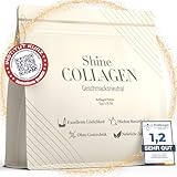 Shine Collagen Pulver 500g - 100% Collagen Peptide, Premium Hydrolysat Typ 1, 2 und 3, Halal, Perfekte Löslichkeit, Geschmacksneutral