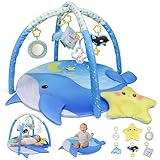 Dr.Rapeti Spieldecke mit Spielbogen, Spieldecke, Krabbeldecke mit Spielbogen, Padded Mat for Newborns, Mit abnehmbarem Spiegel, Stoffbuch