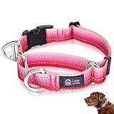 Arblina Martingale Hundehalsband, Reflektierendes Zugstopp Halsband Hunde für Große Mittlere und Kleine Hunde, Nylon Zughalsband mit Stopp für Hunde Whippets, Greyhounds, Saluki, Rosa,S