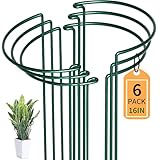 SYITCUN 6 Stück Pflanzenstütze Staudenhalter Halbrund (25x40cm) – Robuste 4mm Draht Metall Gartenstützen für Blumen,Kletterpflanzen&Stauden