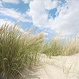 Pro-Art gla759d Wandbild Glas-Art 'Sommertag I', 20 x 20 cm