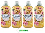 4x Coccolino Weichspüler Fresh & Protect Sandelholz und Geißblatt - Konzentrierter Weichspüler, 41 Wäschen, 952ml + Beni Culinari Kostenloser Schlüsselanhänger