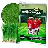 STYLIZER Sport Rasensamen Schnellkeimend Frühjahr 1 kg - Grassamen Sport und Spielrasen für bis zu 40 m² - Turbo Rasensaat Trockenresistent und Winterhart - Schnellwachsender und Robust Rasen Samen