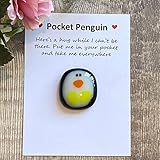 ARVOV Pocket Penguin Hug, Pinguin Geschenk, Pinguine Kleine Umarmung, Ermutigende Geschenke, Trost Geschenke, Get Well Soon Gift, Mini Pinguin Spielzeug Dekoration (Pinguin)
