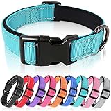 HEELE Hundehalsband, Hundehalsband aus Nylon, Reflektierend Halsband Hund mit Weich Neopren Gepolstert für Welpen Kleine Mittel Große Hunde, Himmelblau, M