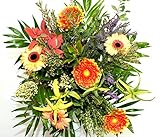 Blumenstrauß „Frühling in der Provence“ – Ø 40 cm, Gerbera & Beiwerk, Frisch & Langlebig, Ideal für Geburtstagsgeschenke, Jubiläen & Anlässe – Kostenloser Blumenversand & Glückwunschkarte