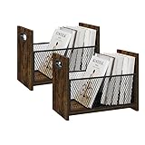 GTCJION Großer Zeitschriftenständer Boden Set mit 2 Schallplatten Aufbewahrung Zeitschriftensammler Aufbewahrungskorb für Briefe, Bücher, Zeitungen, Desktop und Home Office, 39 cm L x 22 cm B x 30 cm
