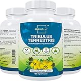 Tribulus Terrestris 90% Saponine Nahrungsergänzungsmittel - Hochdosierte natürliche Testosteronunterstützung für Männer und Frauen 180 Vegane Kapseln