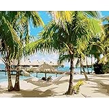 WACYDSD Malen nach Zahlen, Palmen und Strände, DIY, einzigartiges Geschenk, handgemaltes Ölgemälde für Zuhause, Wanddekoration, Kunstwerke, rahmenlos