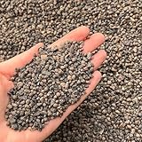 Leca Gartenbau-Körnung, Tonkiesel, Lavasteinähnlich, feine Güteklasse 2–4 mm, 1 l (3 l)
