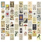 YUZHEDM 50 Stück Vintage Poster, Poster Set, Wandposter, Wandbilder, Vintage Bilder, Ästhetik Deko, Wandbild, Geeignet für Schlafzimmer, Wohnzimmer, Arbeitszimmer, Wohnheim und Büro (Pflanzen)